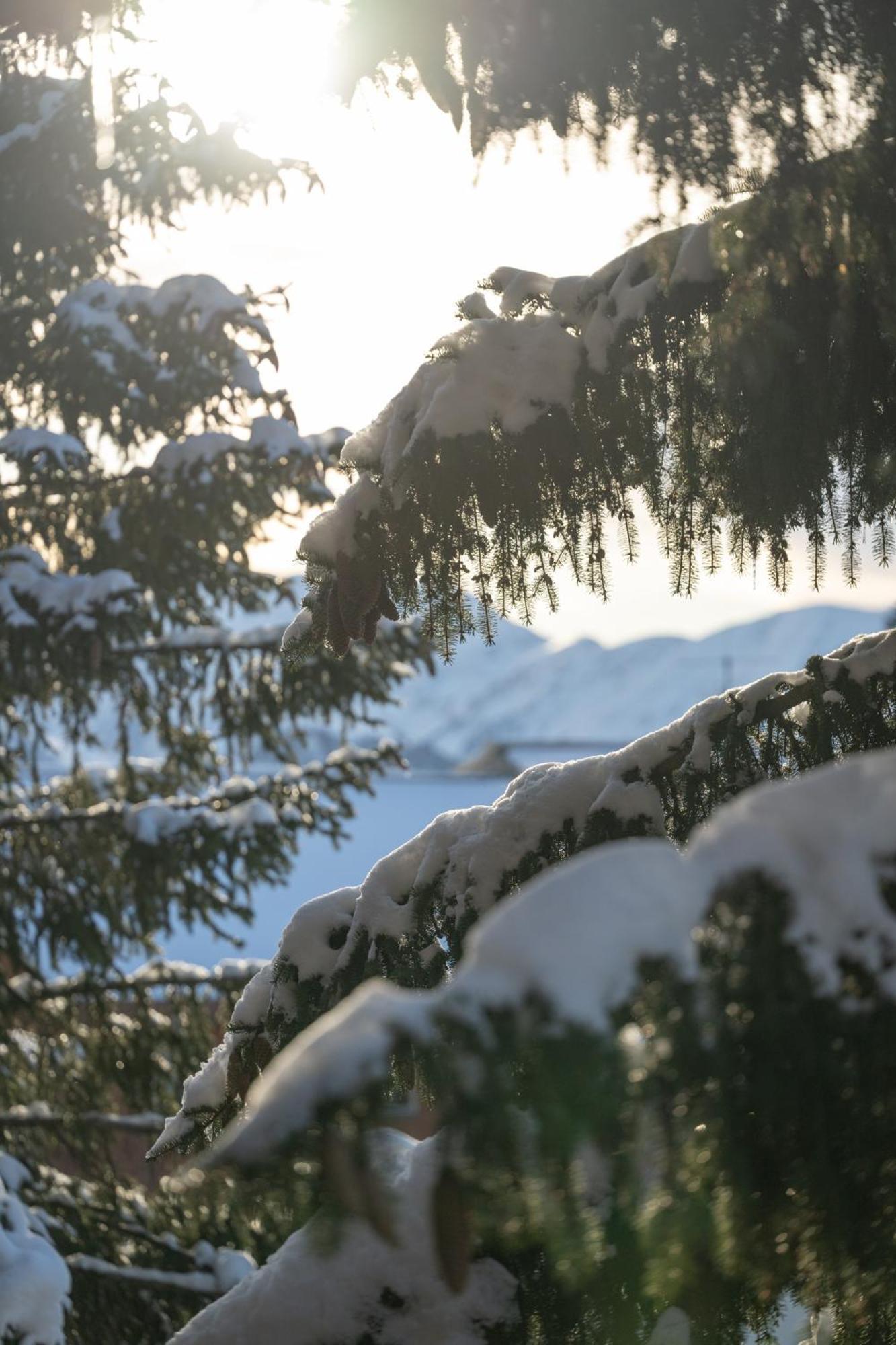 Chalet Alpe D'Huez 1850-Sea And Mountain Pleasure Avec 2 Appartements- 1 Appartement 3 Chambres 8 Couchages - 3 Salles D'Eau Et 1 Appartement 5 Chambres 12 Couchages 5 Salles D'Eau - Jacuzzi Et Sauna -Pieds Des Pistes Et Centre Экстерьер фото