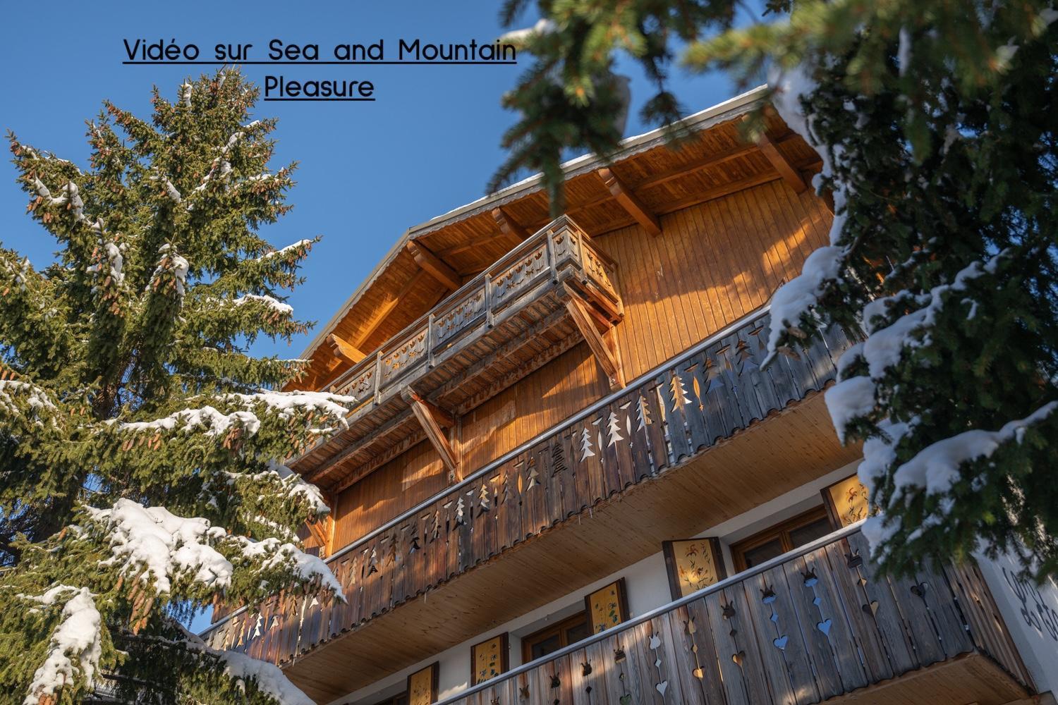 Chalet Alpe D'Huez 1850-Sea And Mountain Pleasure Avec 2 Appartements- 1 Appartement 3 Chambres 8 Couchages - 3 Salles D'Eau Et 1 Appartement 5 Chambres 12 Couchages 5 Salles D'Eau - Jacuzzi Et Sauna -Pieds Des Pistes Et Centre Экстерьер фото