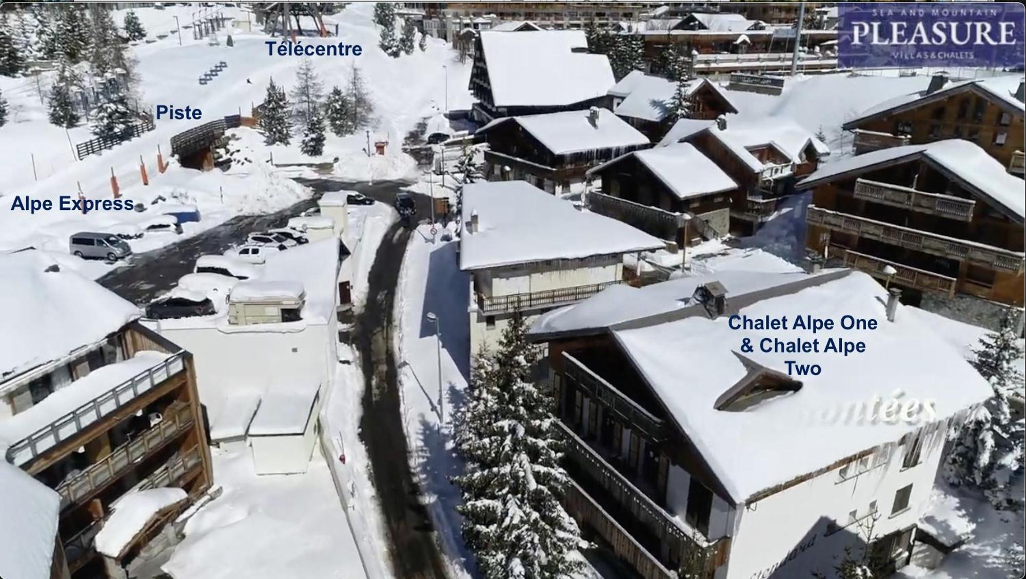 Chalet Alpe D'Huez 1850-Sea And Mountain Pleasure Avec 2 Appartements- 1 Appartement 3 Chambres 8 Couchages - 3 Salles D'Eau Et 1 Appartement 5 Chambres 12 Couchages 5 Salles D'Eau - Jacuzzi Et Sauna -Pieds Des Pistes Et Centre Экстерьер фото